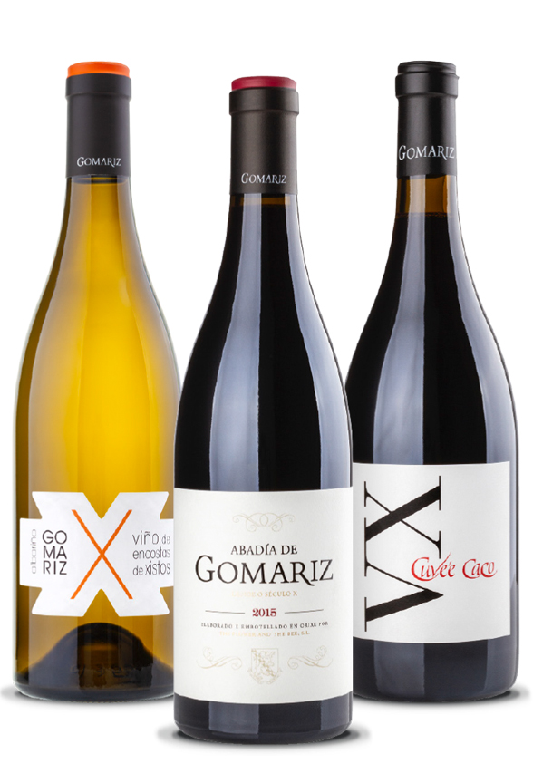 Weingut Coto de Gomariz